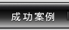 成功案例